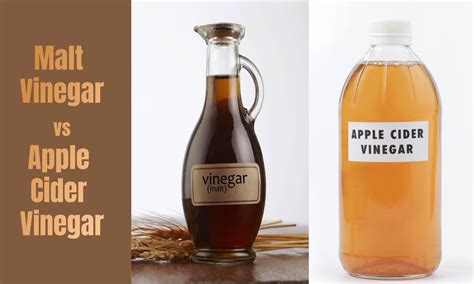 malt vinegar vs apple cider.